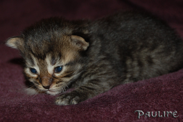 Pauline 2 Wochen.jpg